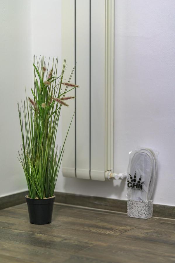 Apartment Queen Sibiu Exterior photo
